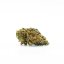 Canalogy HHC blomst Jordbær 20 %, 1g - 1000g