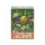 Euphoria Cannabis Energy Lollipop in a box, cannabis flavour (10 x 12 g)