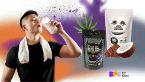 What is hemp protein and what are its benefits?