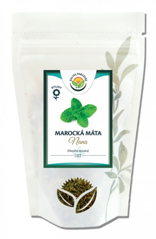 Salvia Paradise Marockansk mynta 1000g