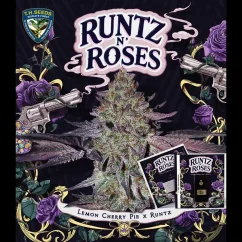 T.H.Seeds™ Cannabis Seeds Runtz N' Roses, eri pakkaus, feminisoitu
