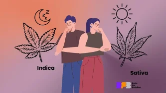 Indica vs. Sativa Iedarbība