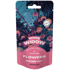 Canntropy H4CBD blomma White Widow 30%, 1 g - 100 g