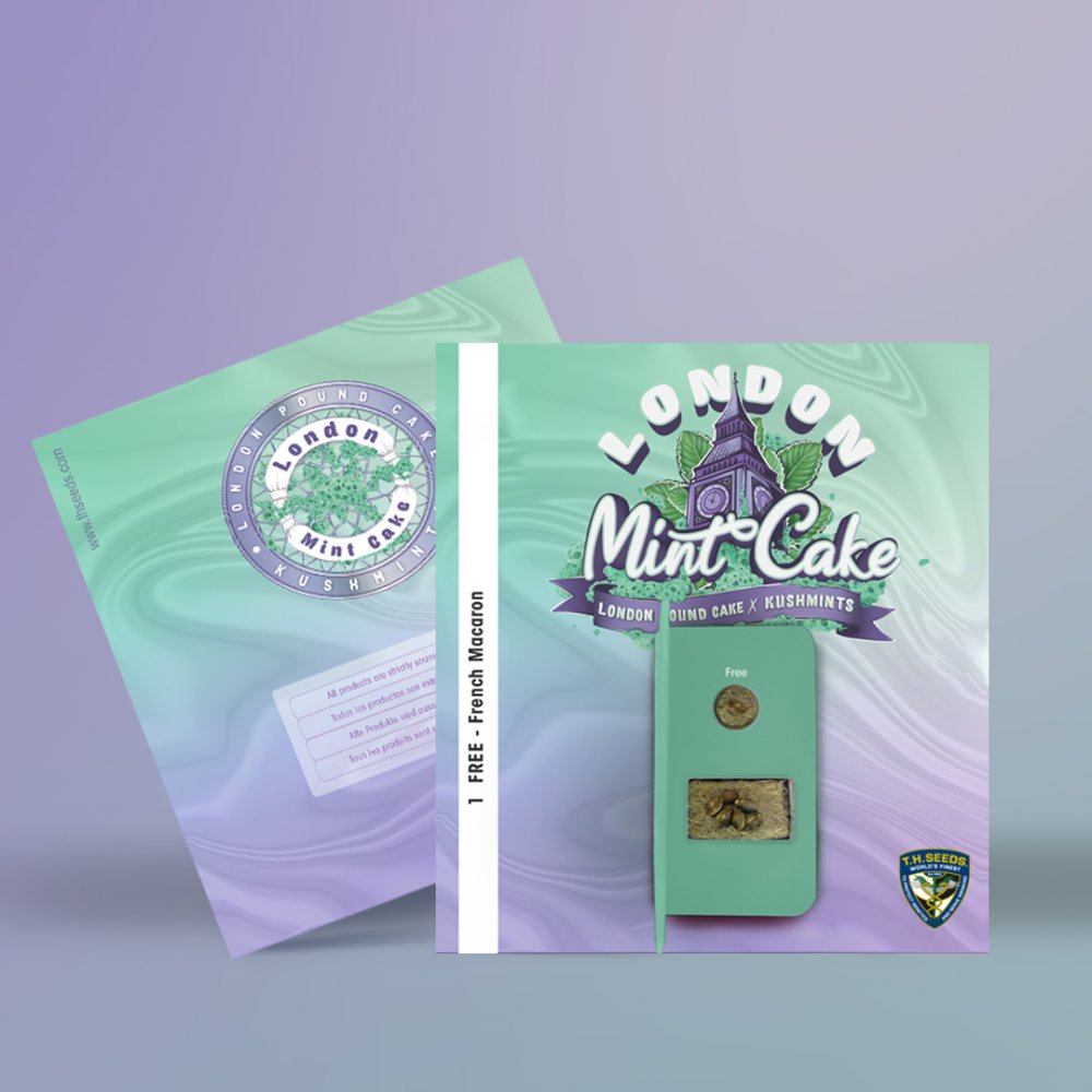 T.H.Seeds™ Cannabis Seeds London Mint Cake, razno pakiranje, feminizirano 6+1 pcs
