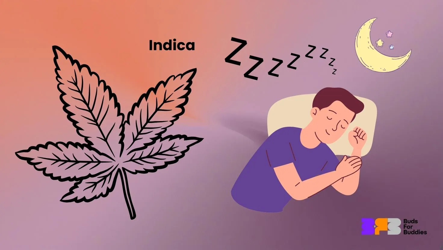 Ilustrácia účinkov konope Indica – podporuje spánok a odpočinok, znázornené listom, spiacou osobou a mesiacom, doplnené logom budsforbuddies