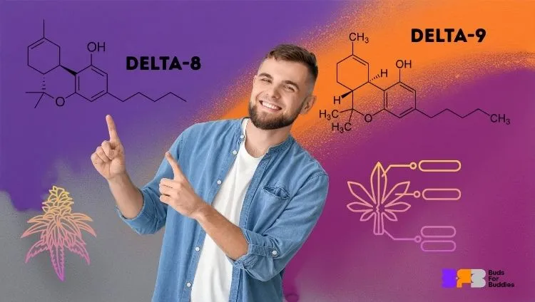 Delta-8-THC:n ja delta-9-THC:n kemiallinen rakenne – ero kaksoissidoksen sijainnissa, BudsForBuddiesin logo oikeassa alakulmassa