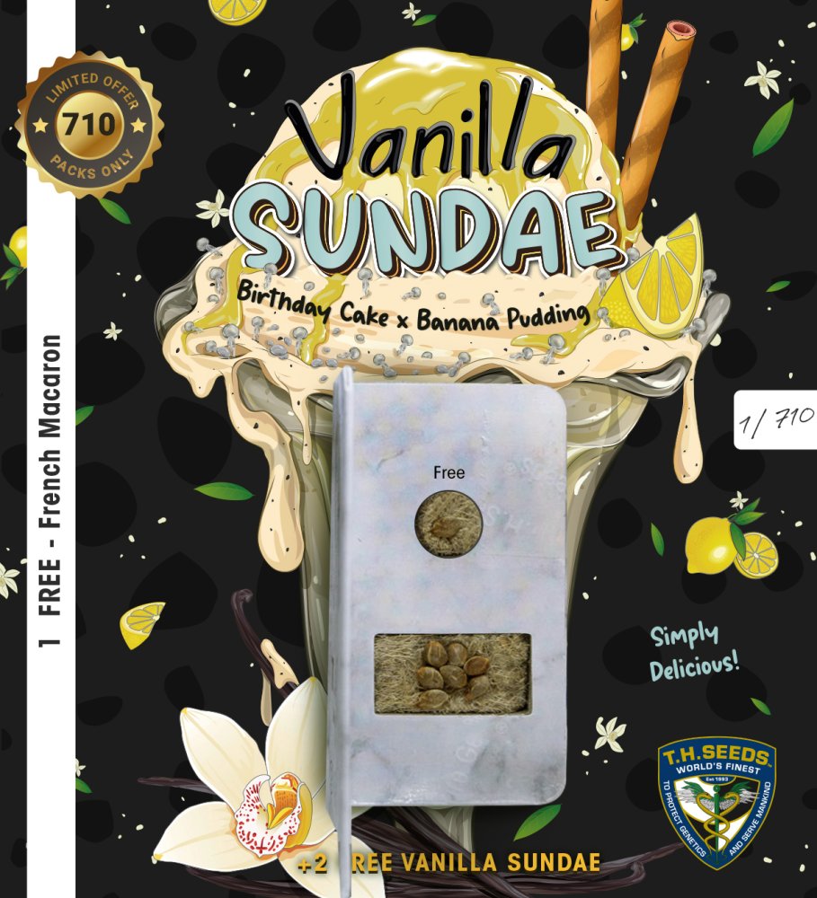 T.H.Seeds™ Cannabis Seeds Vanilla Sundae, razno pakiranje, feminizirano 7+1 pcs