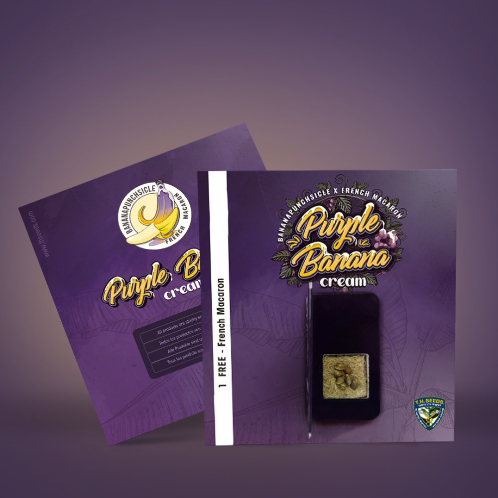 T.H.Seeds™ Cannabis Seeds Purple Banana Cream, razno pakiranje, feminizirano 6+1 pcs