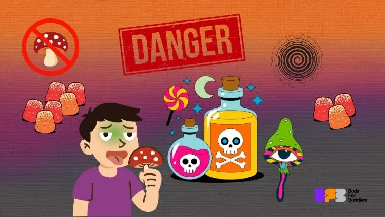Illustrations warning of the dangers of "muscimol gummies" and "magic muscimol gummies" – red fly agaric mushrooms, poison bottles with skulls, hallucinations, and warnings of high risk of poisoning