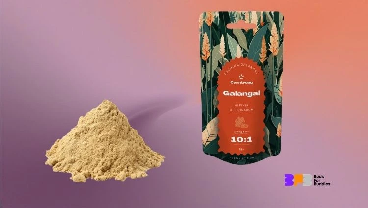 Galangal powder on the left, galangal in a bag on the right, Buds For Buddies logo at the bottom right