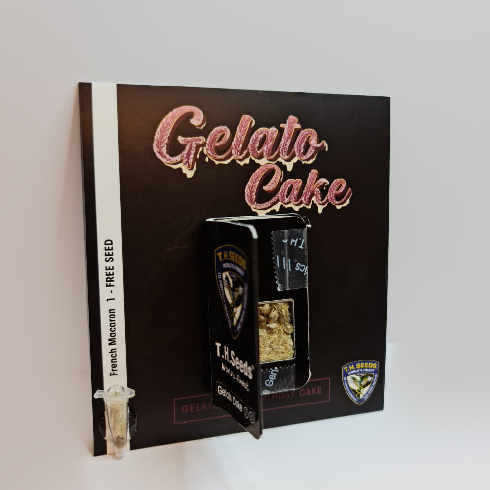 T.H.Seeds™ Cannabis Seeds Gelato Cake, razno pakiranje, feminizirano 6+1 pcs