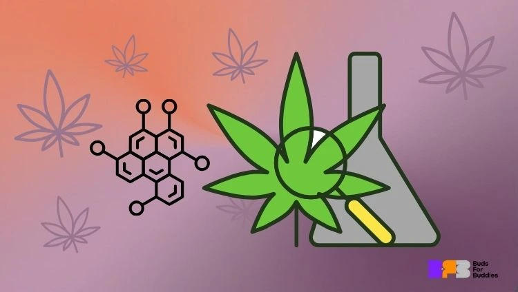HCT cannabinoid illustration showing laboratory chemistry and cannabis elements, with the Buds for Buddies logo in the bottom right corner
