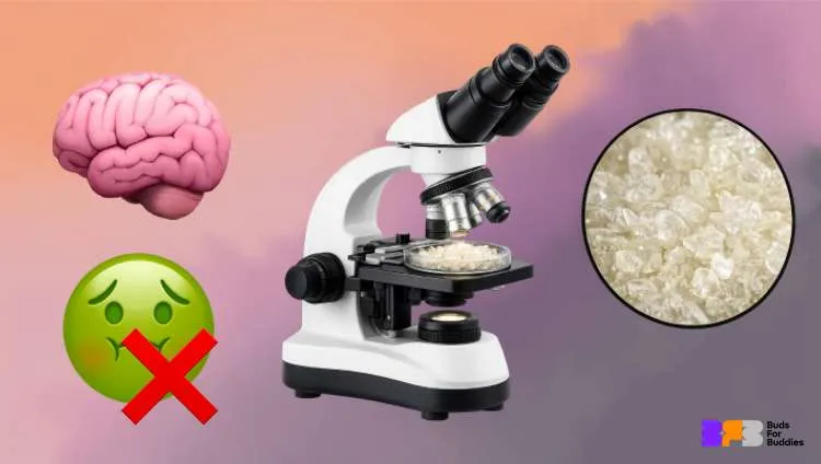 A microscope examining THCA crystals, with icons relating to areas of preclinical research: neuroprotection and nausea.