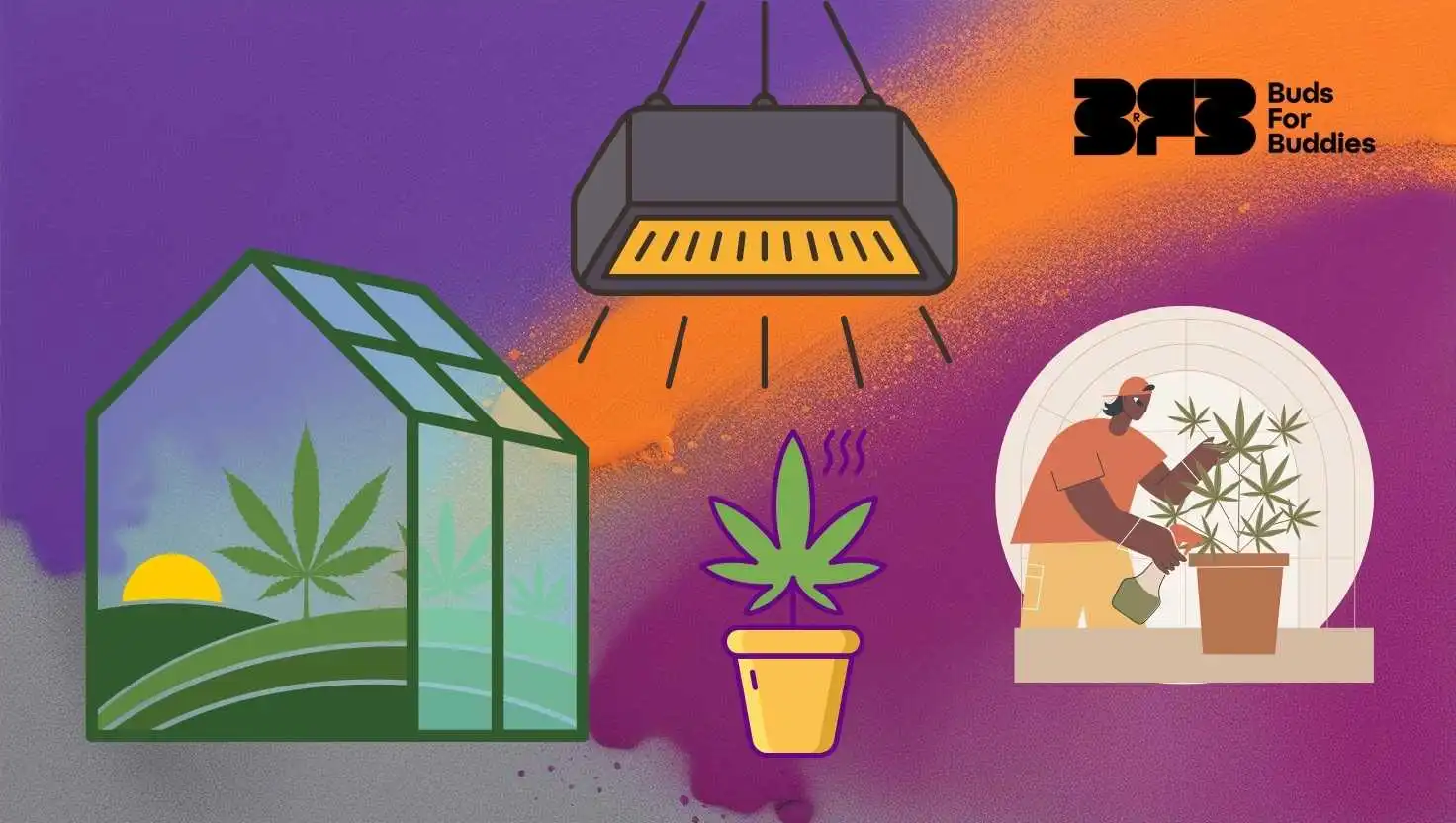 Visualisation of indoor cannabis cultivation: greenhouse, growth under lights and grower tending to plants, Buds For Buddies logo in the top right corner