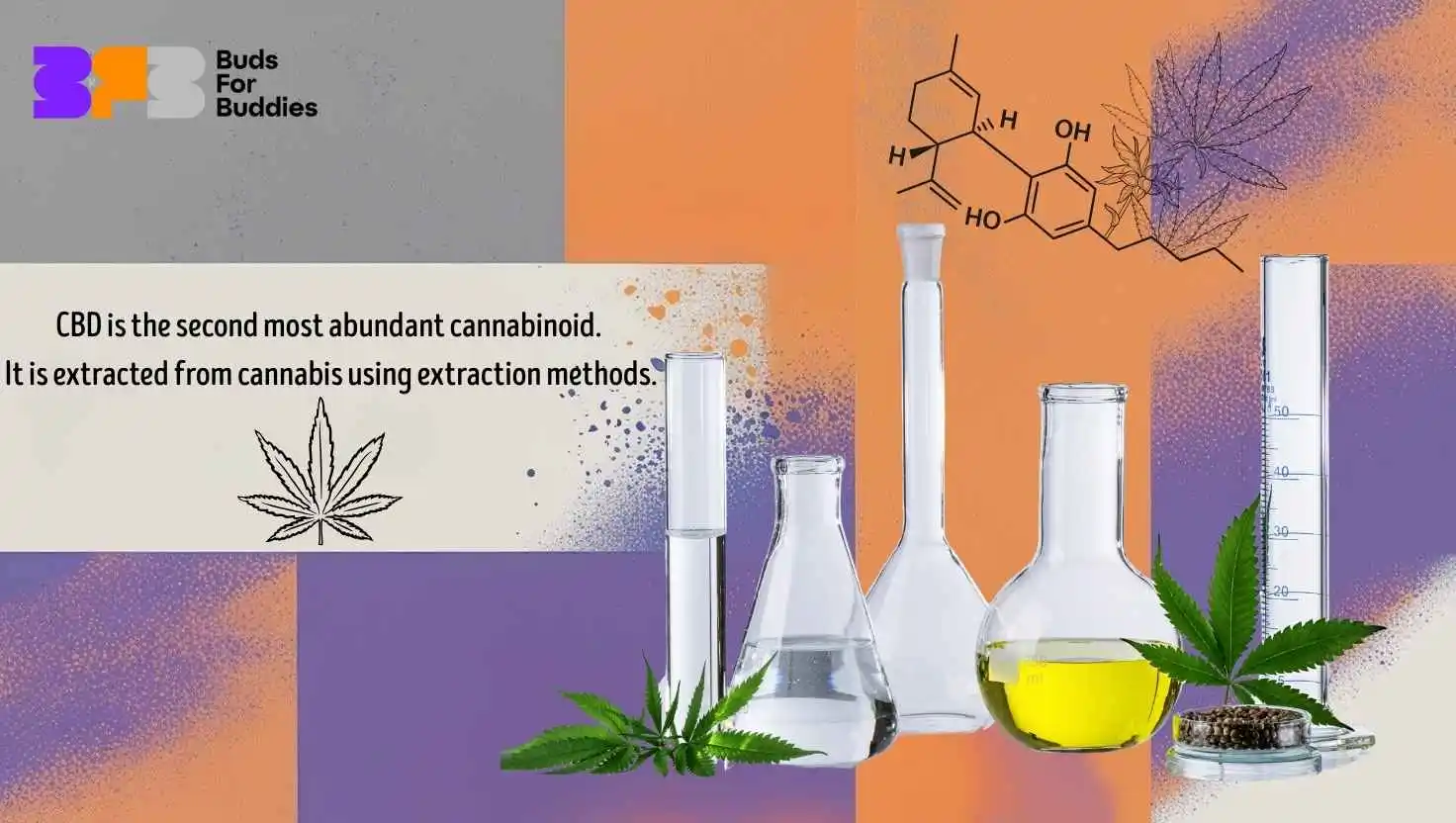 CBD extraction from hemp - laboratory glassware, chemical formula and hemp leaves showing the process of extracting cannabidiol
