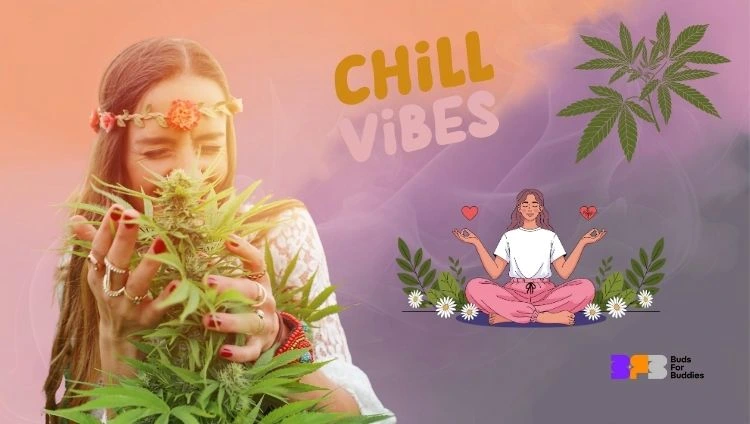 A young woman hugging a cannabis plant, next to her an illustration of a relaxing woman, the words "chill vibes" and cannabis leaves