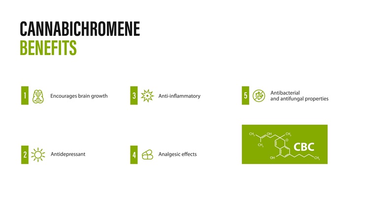 Výhody cannabichromenu, bílý banner s infografikou a chemickým vzorcem cannabichromenu
