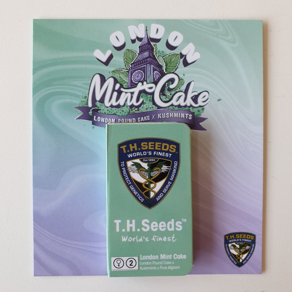 T.H.Seeds™ Cannabis Seeds London Mint Cake, razno pakiranje, feminizirano 2 pcs