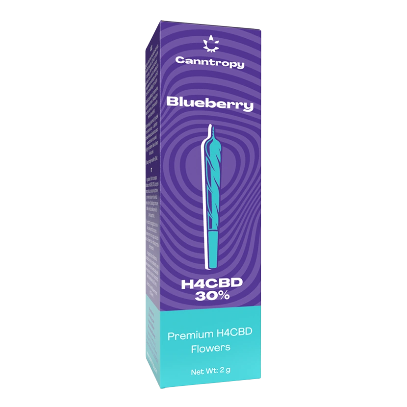 Canntropy H4CBD Prerolls borovnica, 30 % H4CBD, 1 g