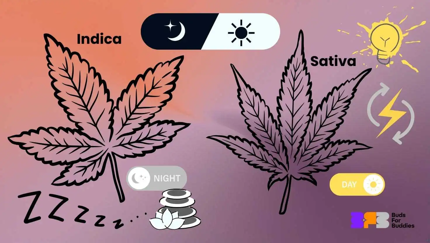 Infografika porovnávajúca účinky konopných odrôd Indica a Sativa – Indica navodzuje relaxáciu a spánok a je vhodnejšia na nočné použitie, zatiaľ čo Sativa podporuje energiu a kreativitu a je vhodná na denné použitie