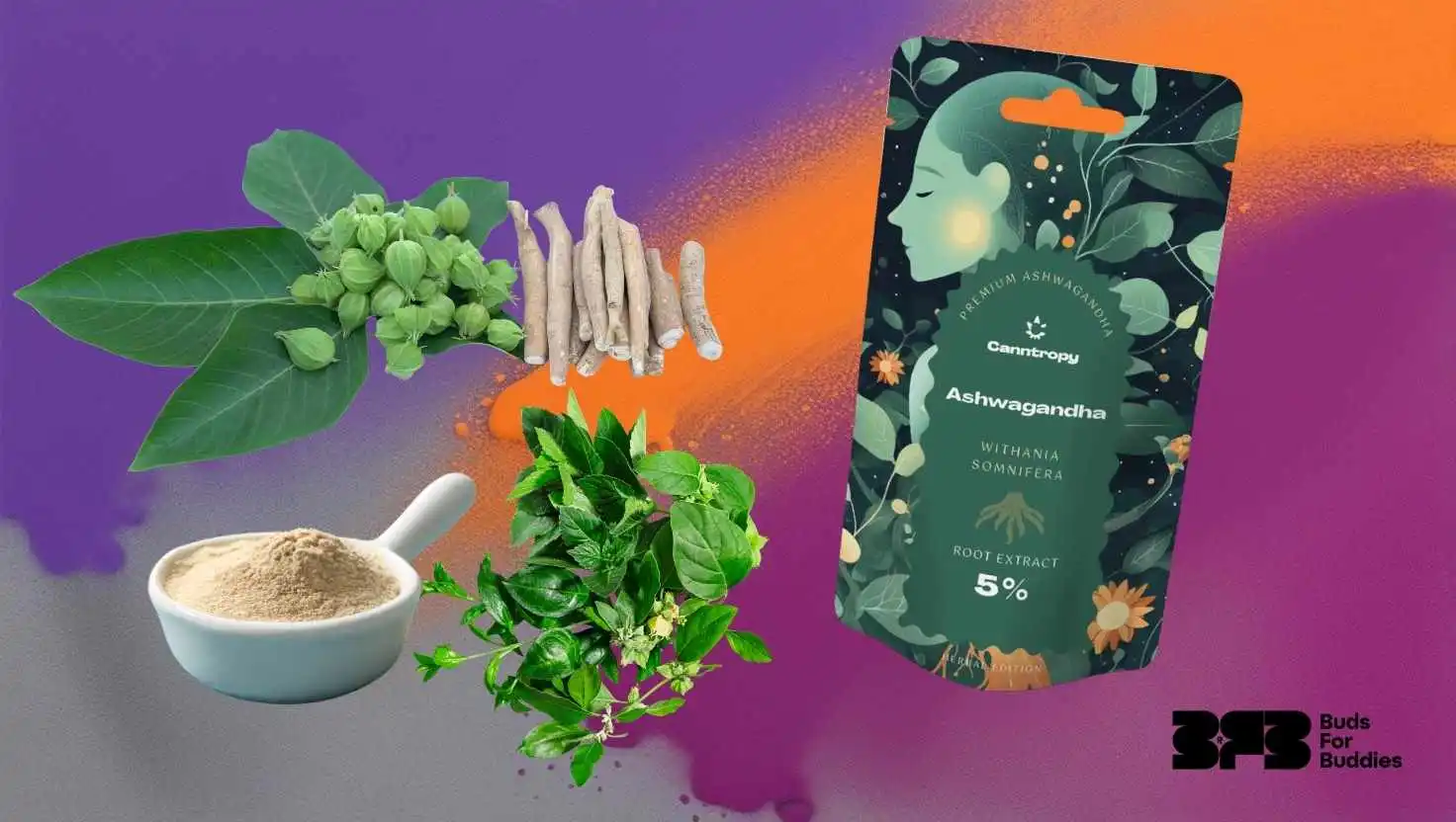 Ashwagandha – natural adaptogen in powder form and root extract, Canntropy Ashwagandha 5% packaging, BudsForBuddies logo at bottom right