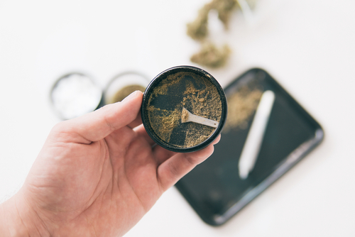 Indoor CBD květy mají nespornou výhodu v tom, že má člověk                kontrolu nad každou fází pěstování a může průběžně upravovat podmínky. 