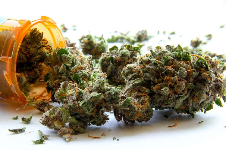 Spilled CBD buds