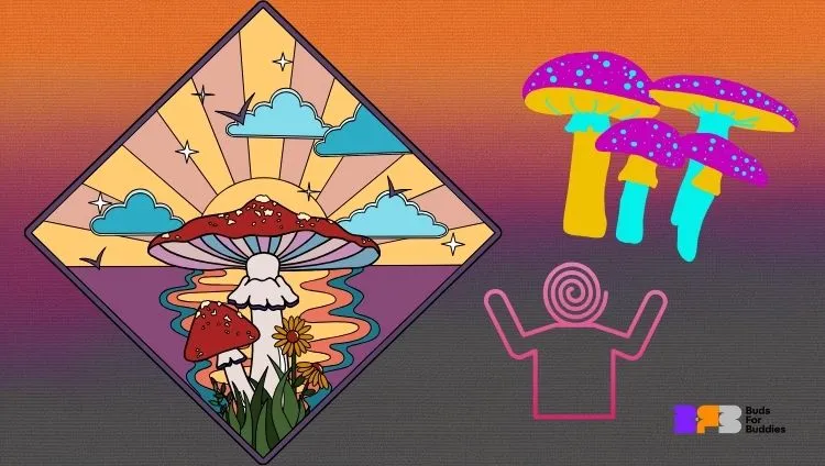 Illustrations of fly agaric (Amanita muscaria) and colorful mushrooms, hallucinogenic effects associated with the substance muscimol, supplemented with the budsforbuddies logo